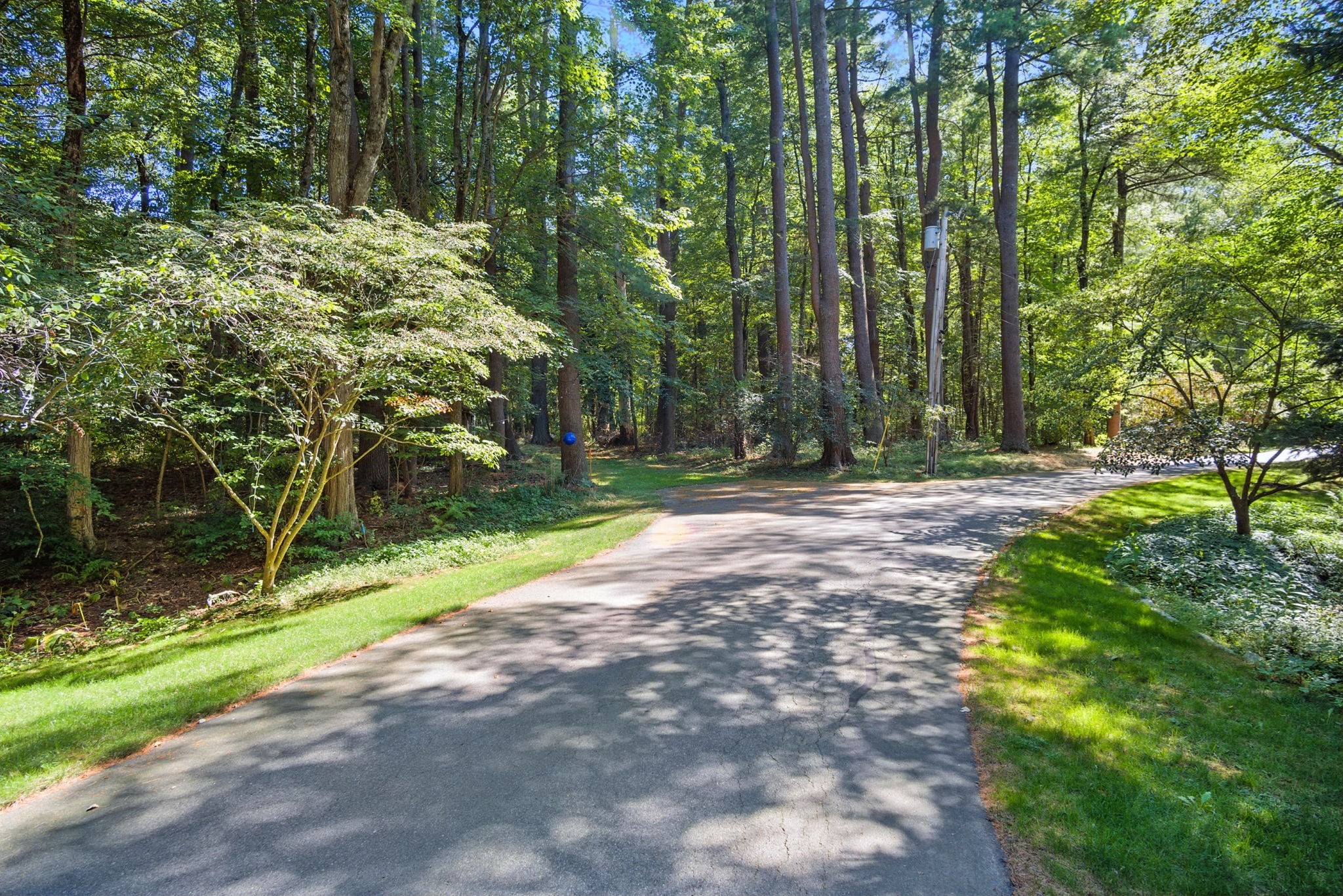 Paved road curving alongside a densely wooded property.