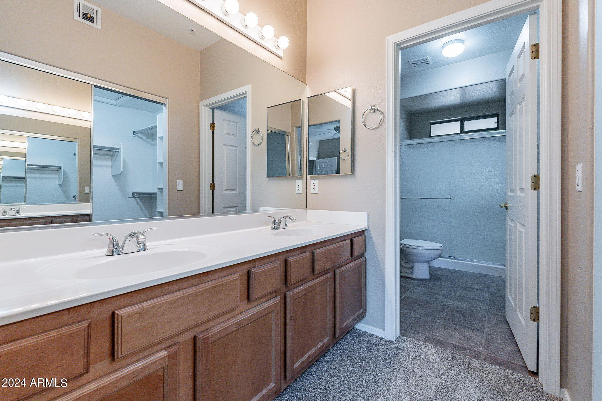 1351 N PLEASANT Drive # 2098