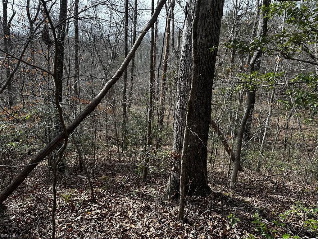 408 & 410 Huckleberry Ridge Road