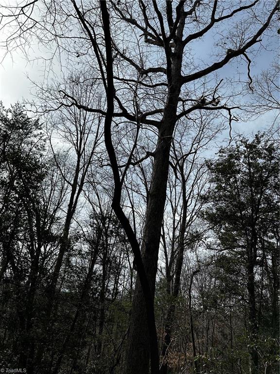 408 & 410 Huckleberry Ridge Road