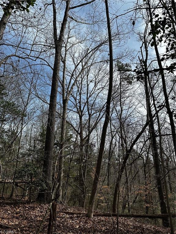 408 & 410 Huckleberry Ridge Road