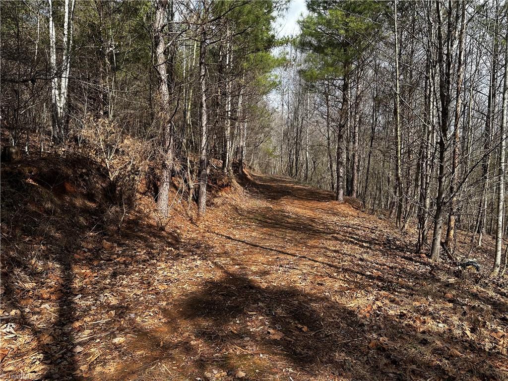 00 Mount Olive Church Road