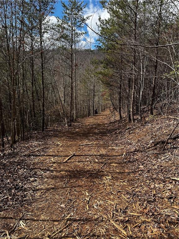 00 Mount Olive Church Road