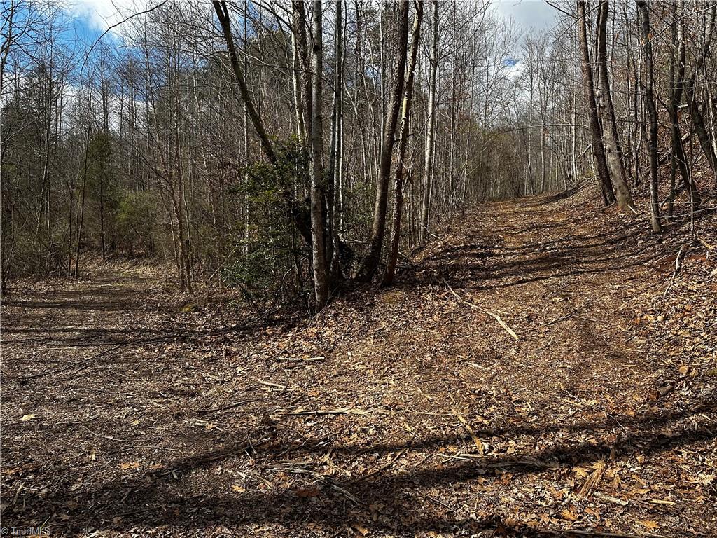 00 Mount Olive Church Road