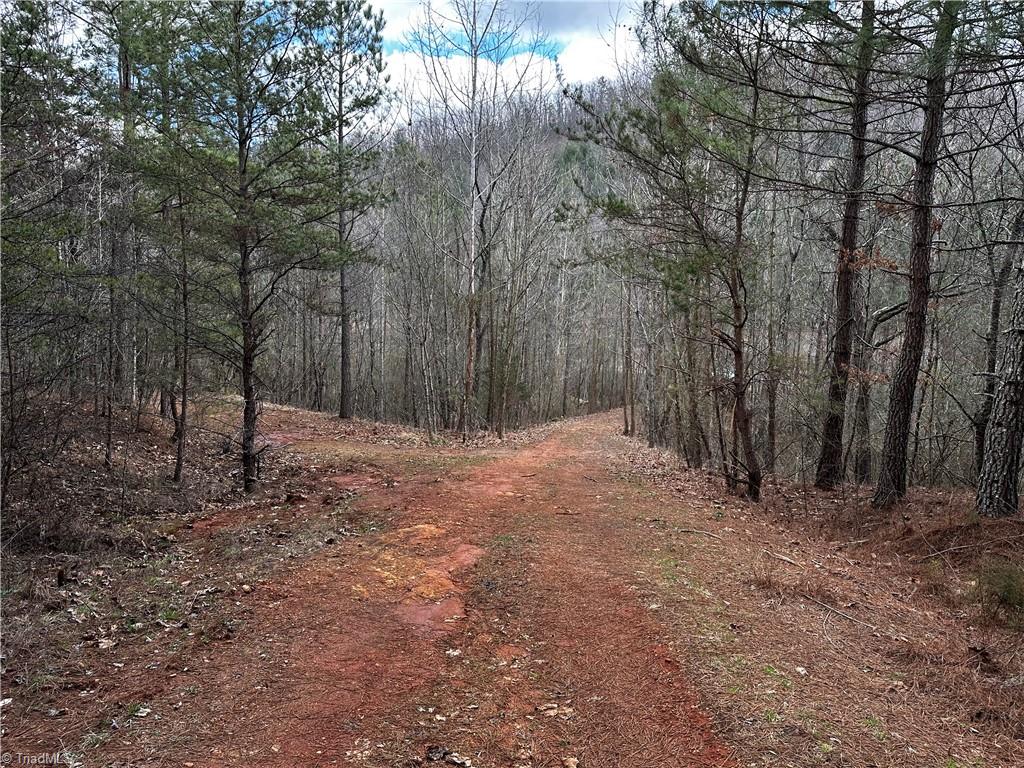 00 Mount Olive Church Road