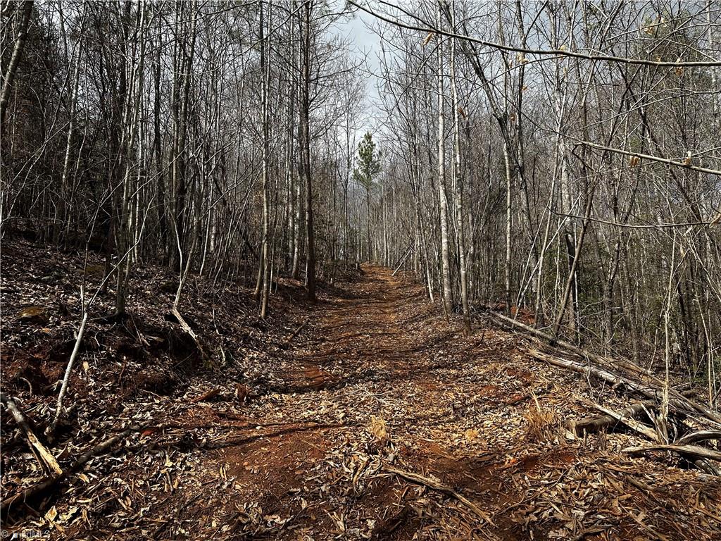 00 Mount Olive Church Road