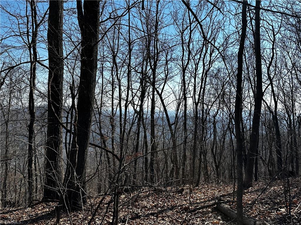 00 Mount Olive Church Road