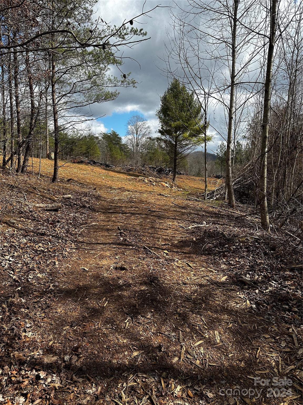 00 Mt Olive Church Road