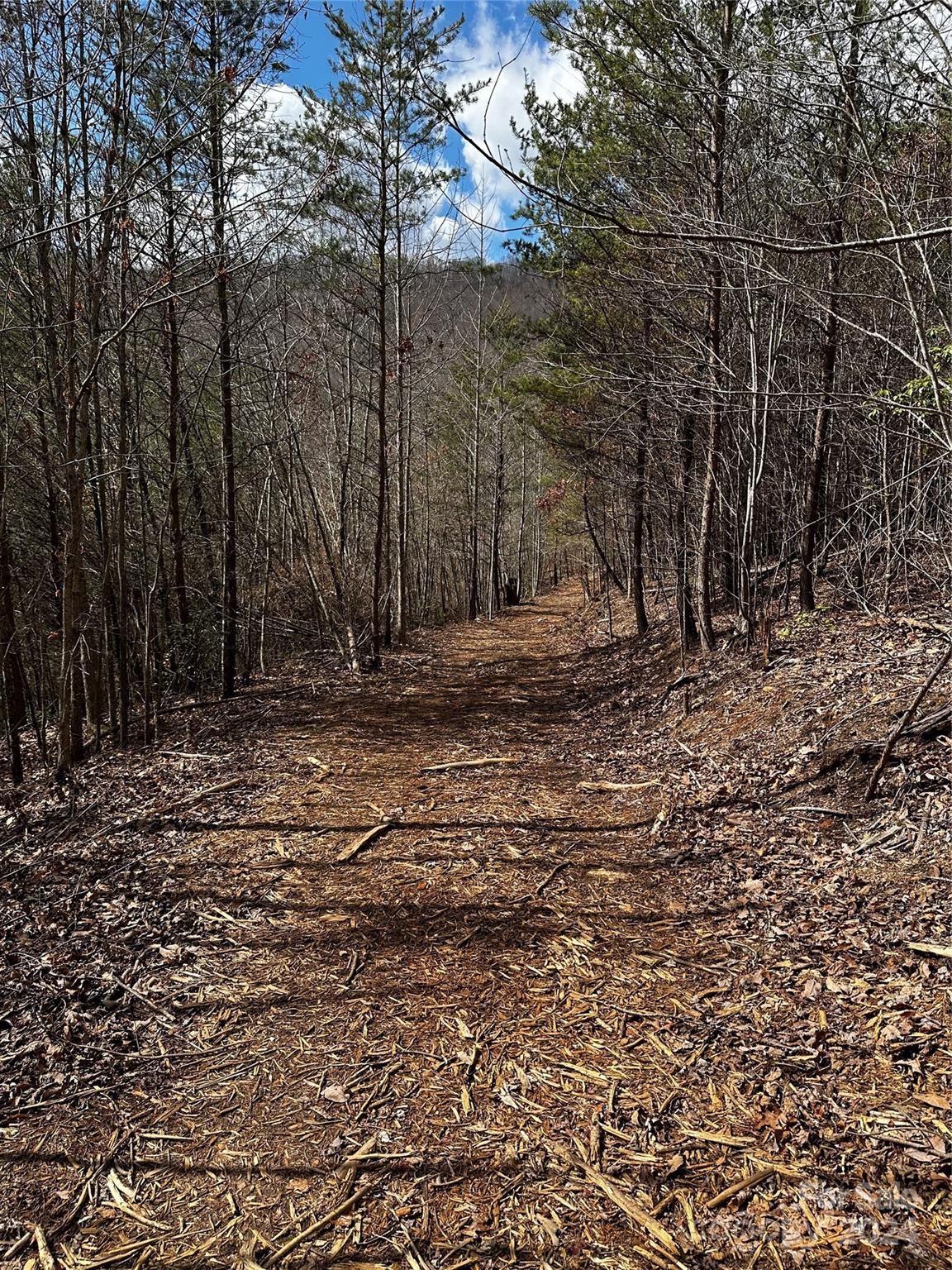 00 Mt Olive Church Road