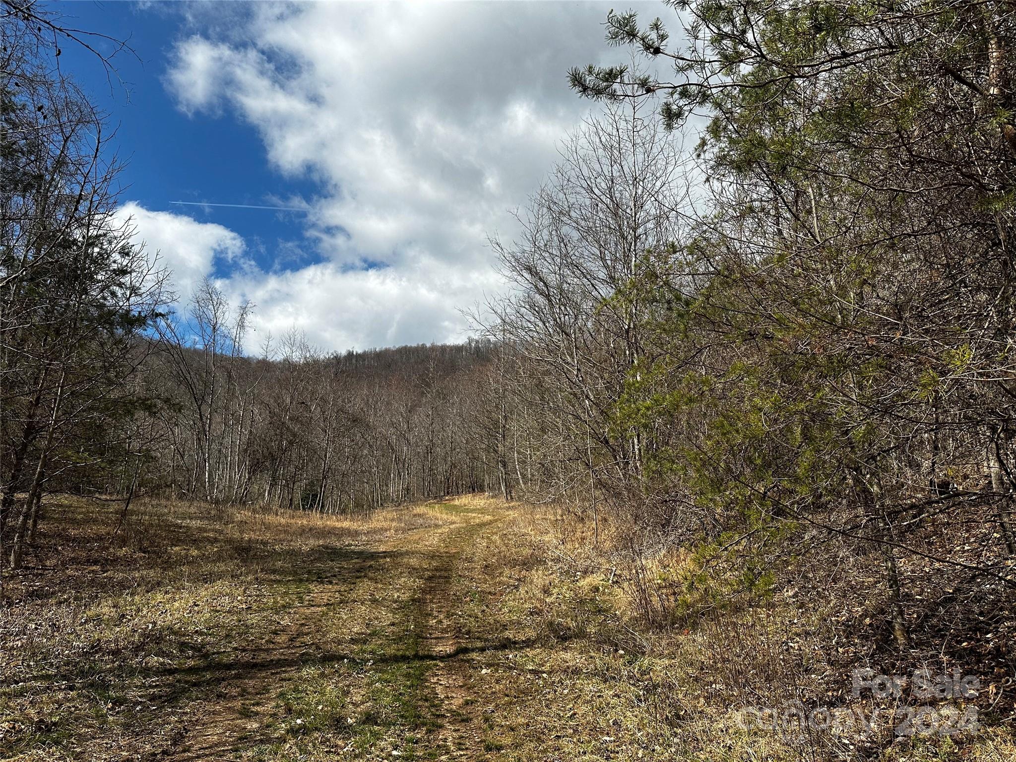 00 Mt Olive Church Road