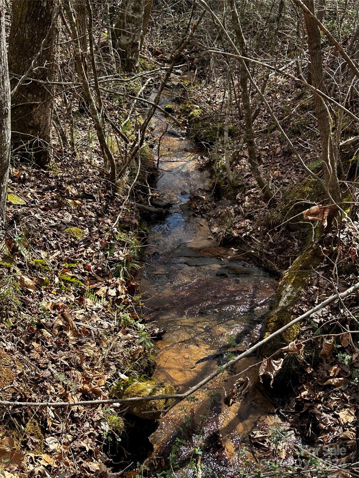 00 Mt Olive Church Road