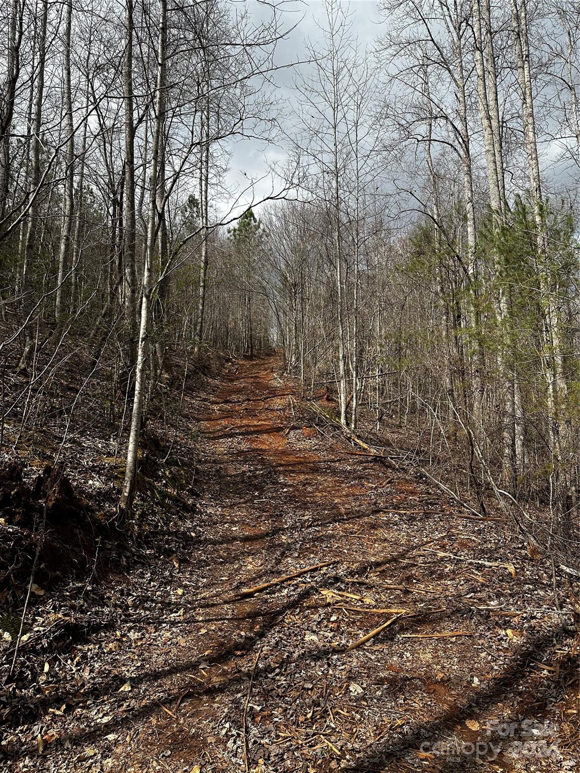00 Mt Olive Church Road