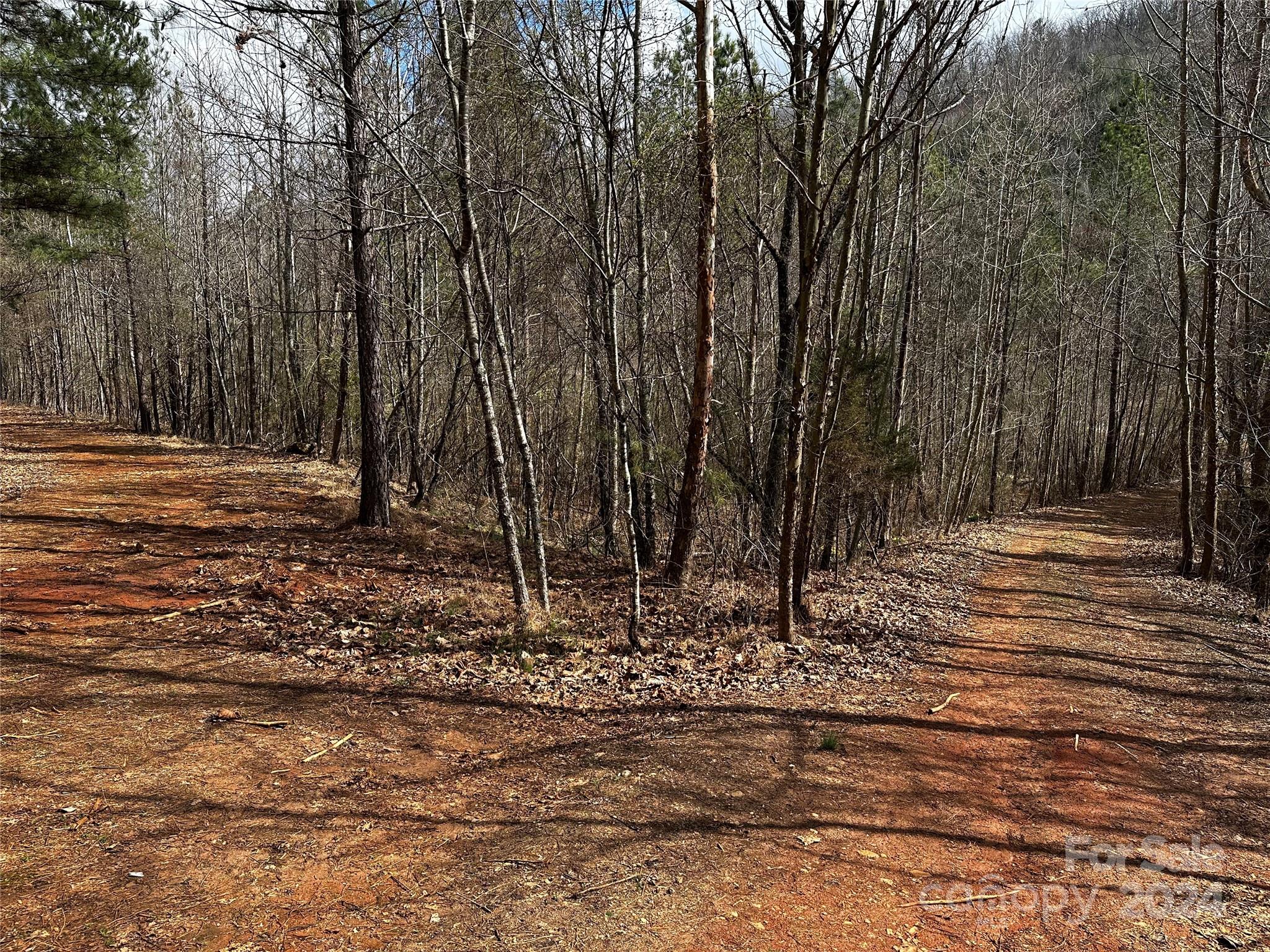 00 Mt Olive Church Road