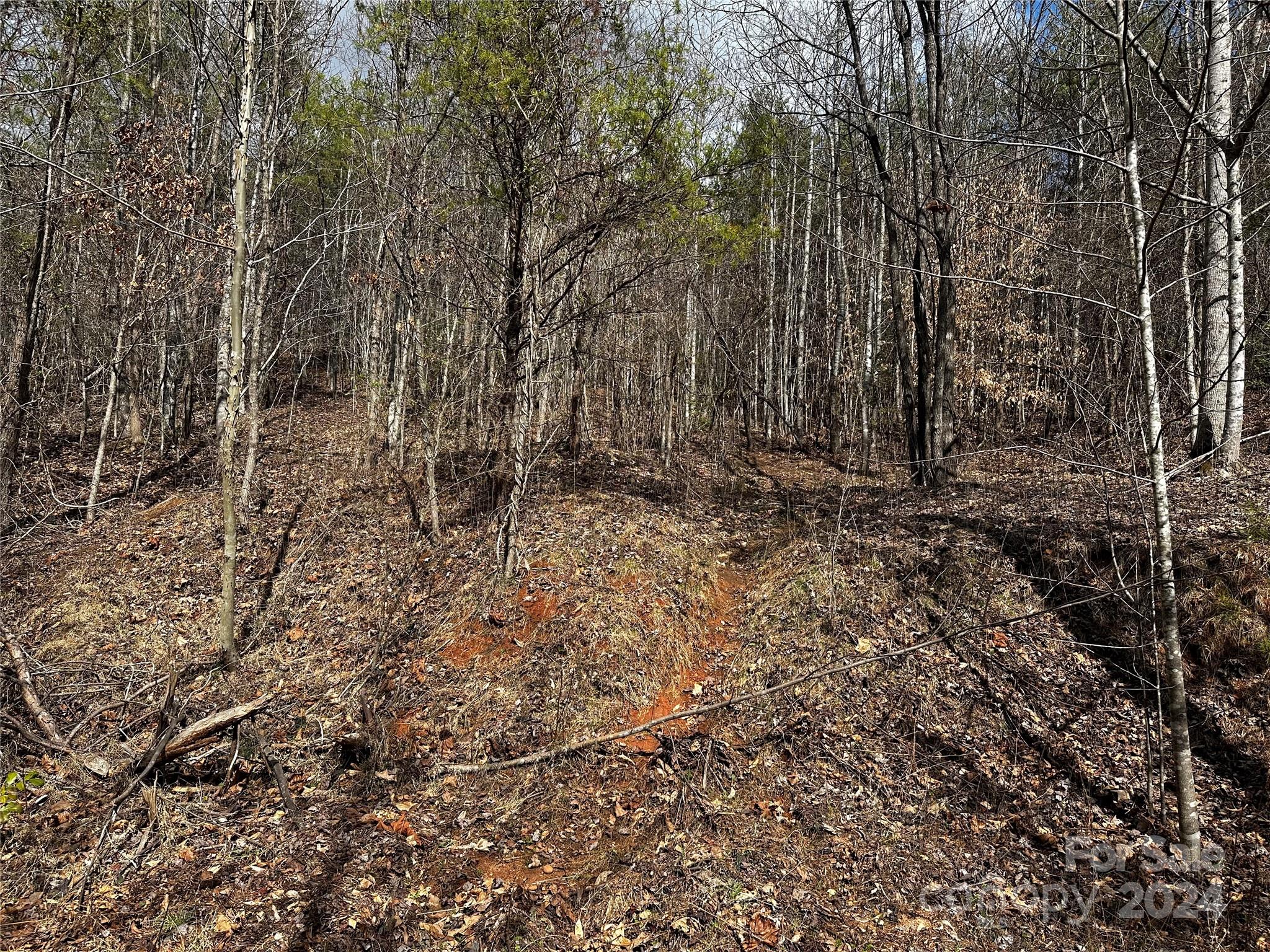 00 Mt Olive Church Road
