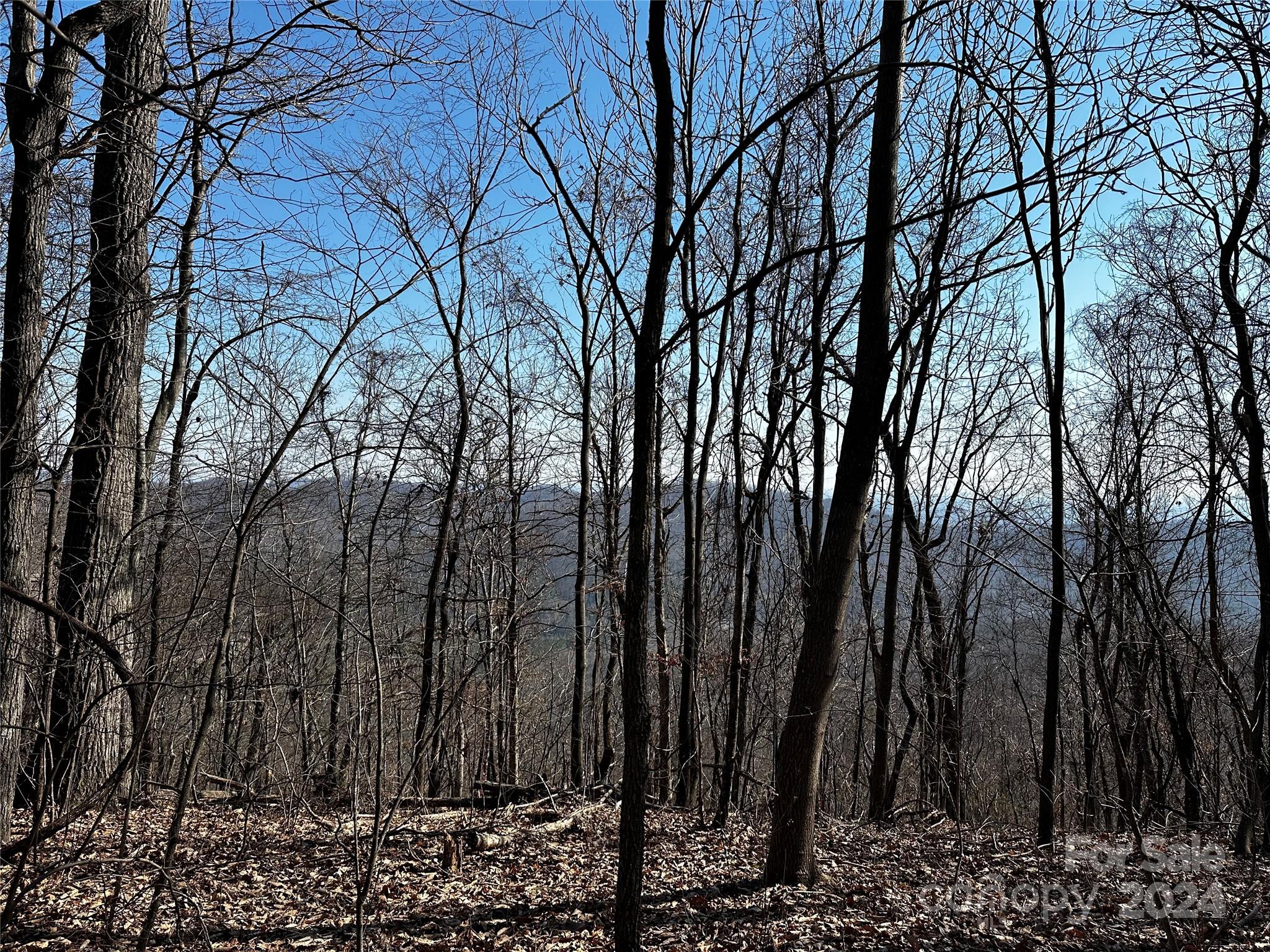 00 Mt Olive Church Road