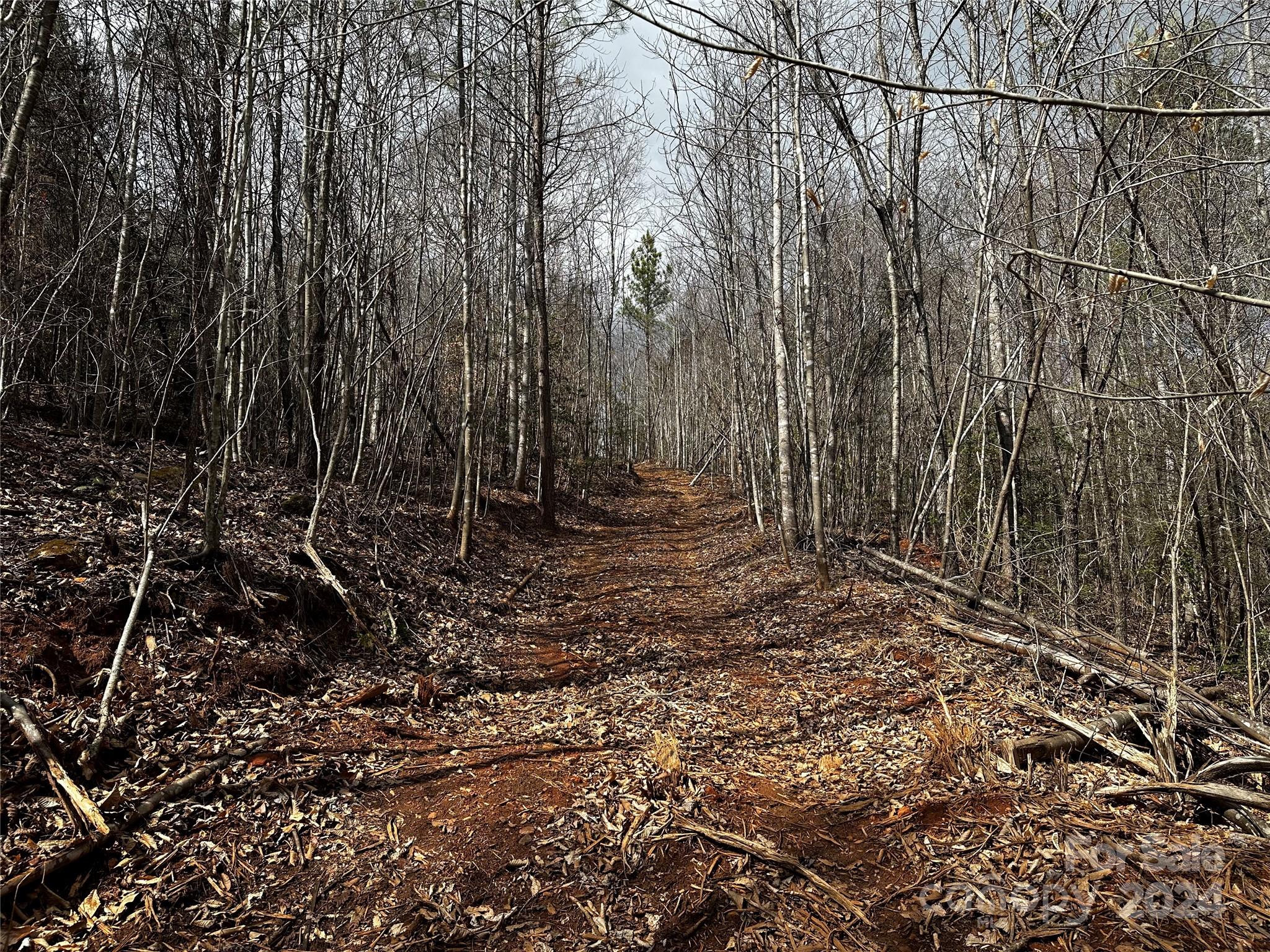 00 Mt Olive Church Road