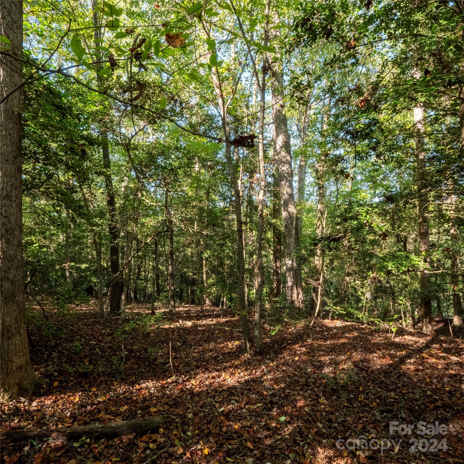 00 Fox Ridge Lane Unit: 17 & 18