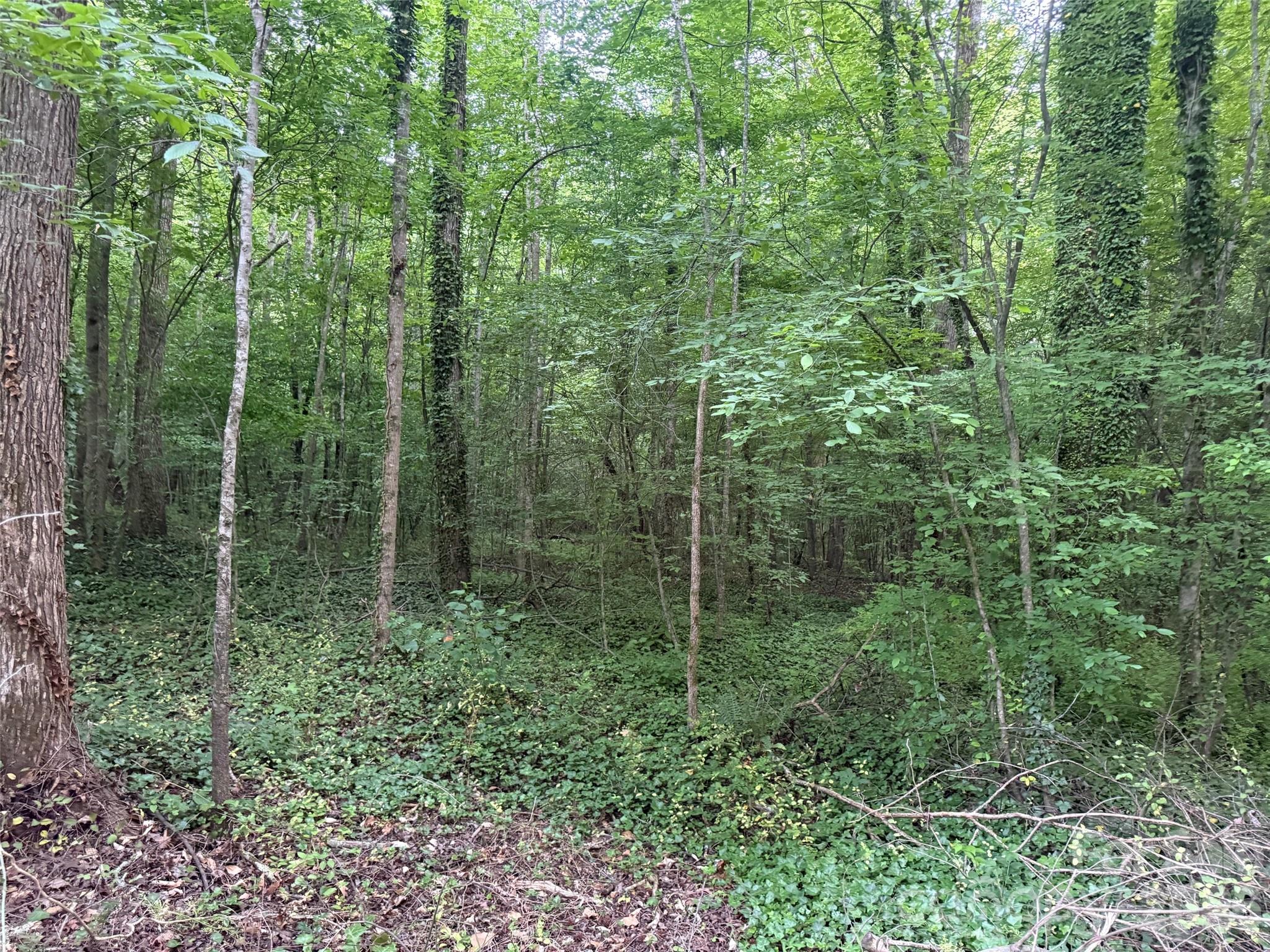 00 Winterhaven Road Road Unit: 4