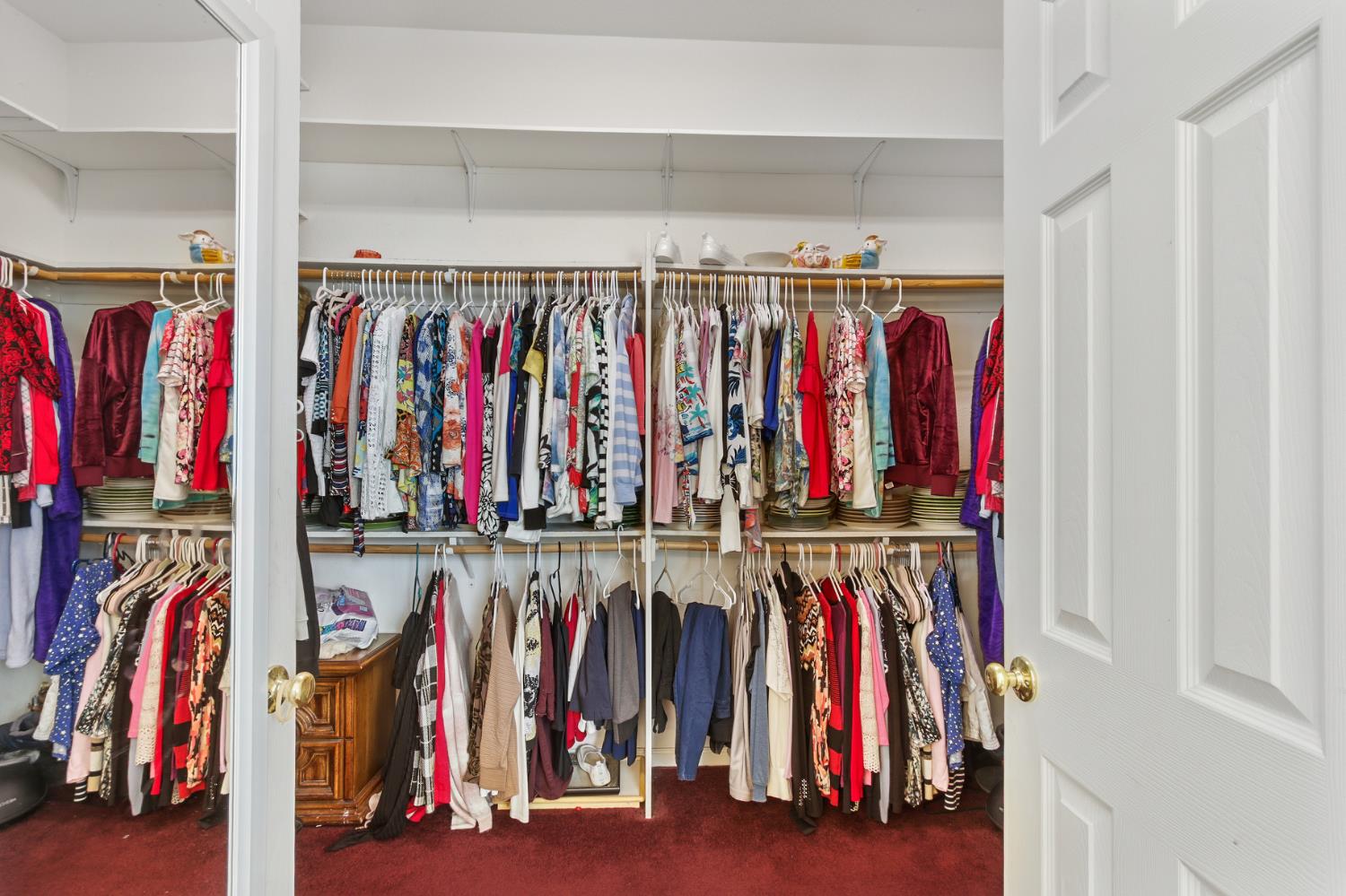 8450 Alameda Park Drive