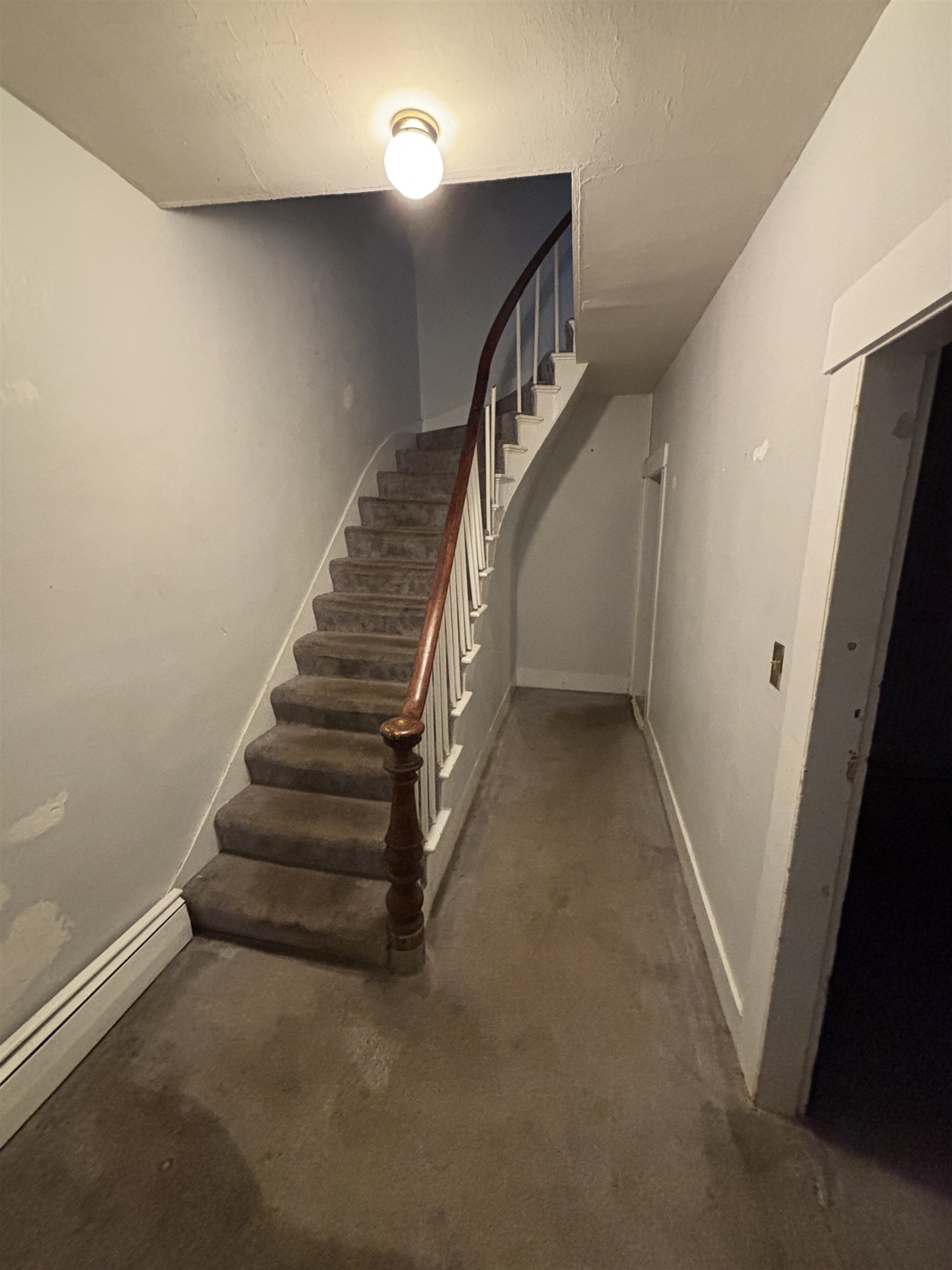 14 Dufort Street