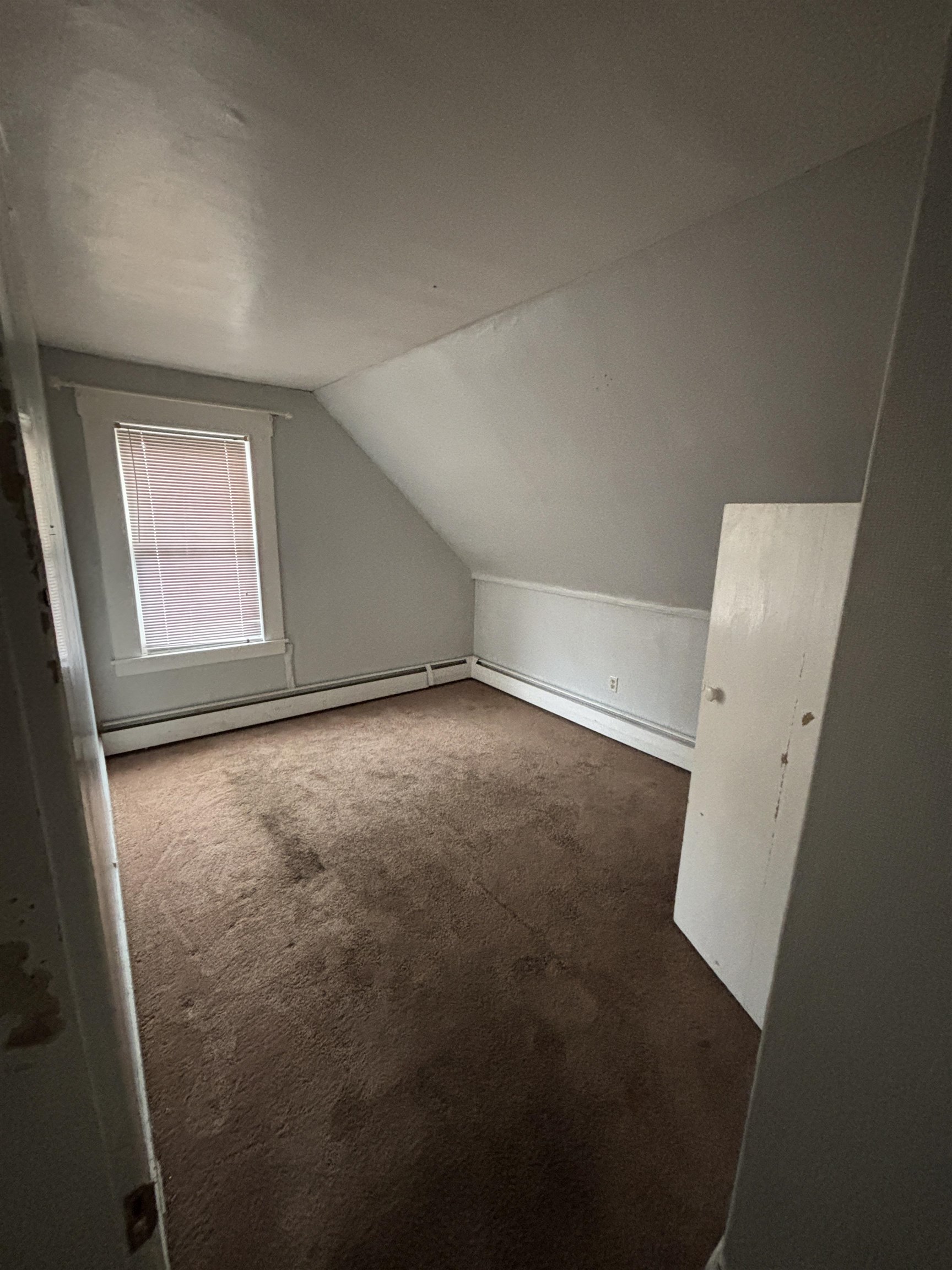 14 Dufort Street