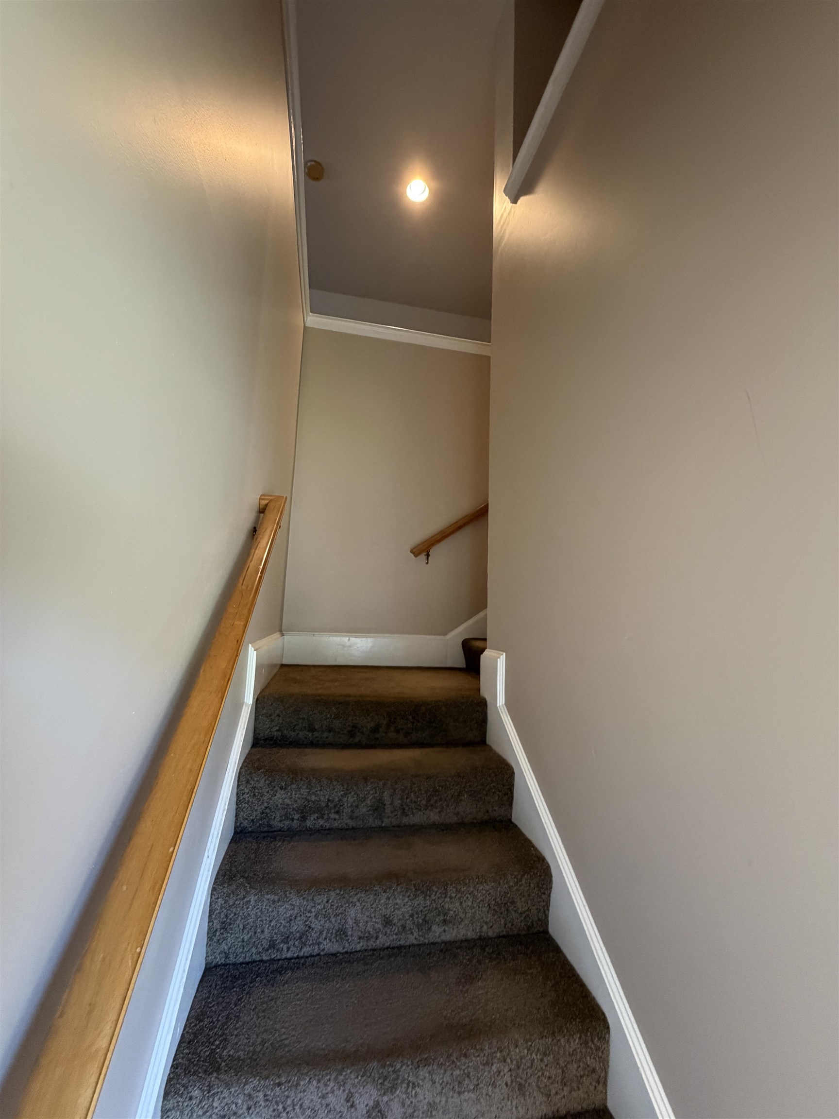 5 Fiddlehead Lane