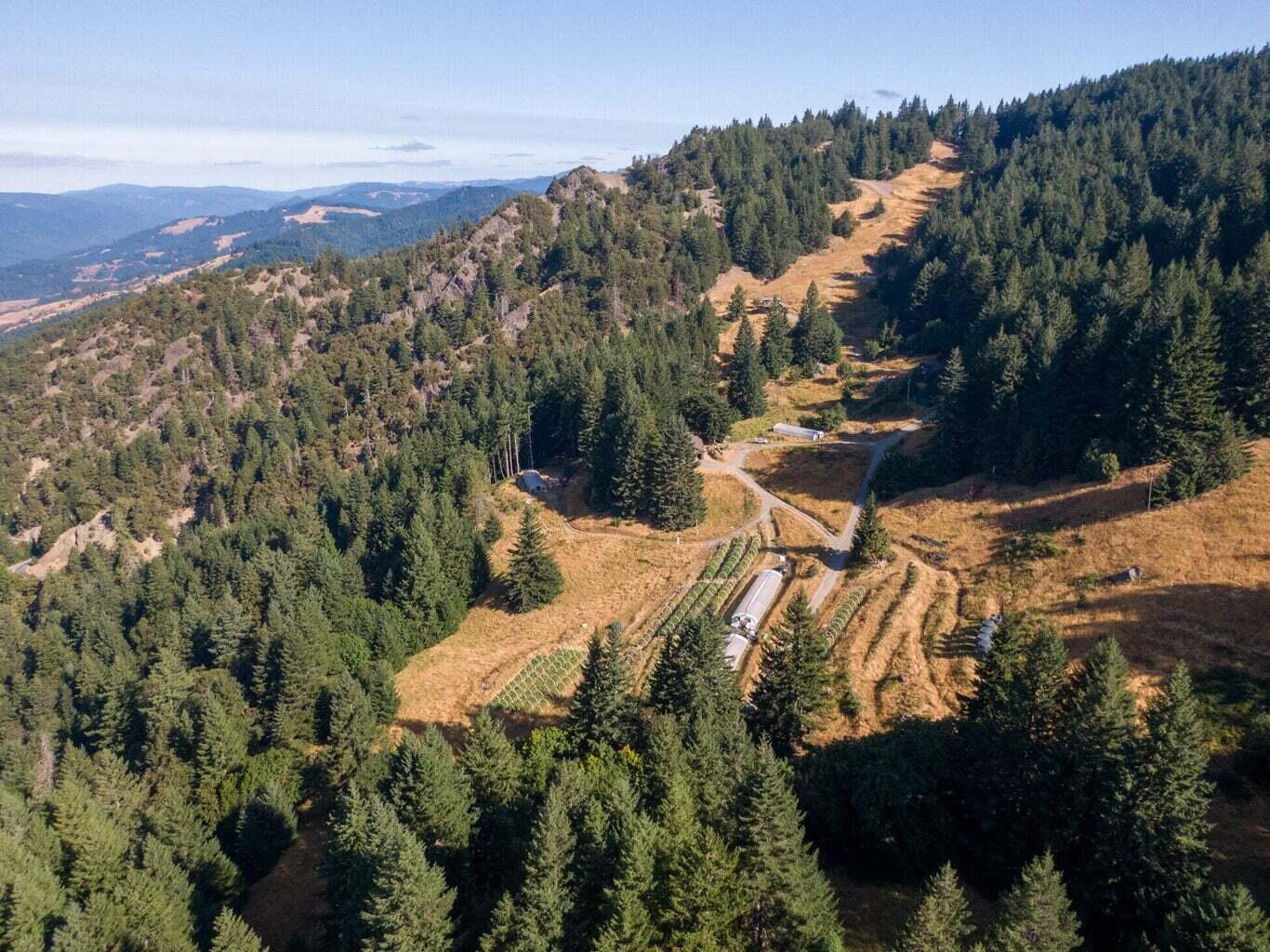 2469 Titlow Hill Road