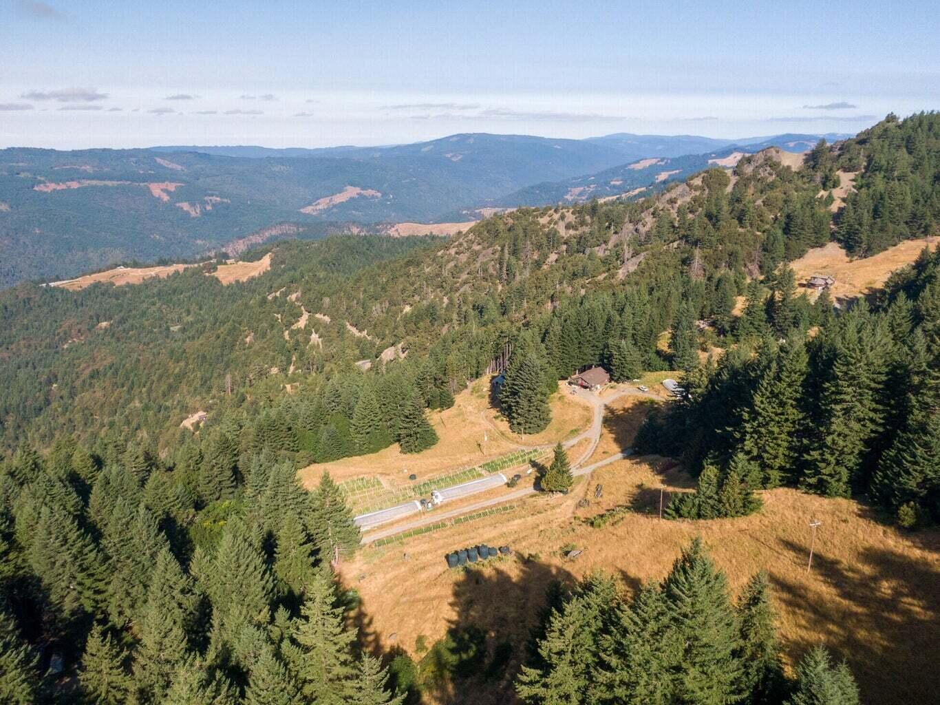 2469 Titlow Hill Road