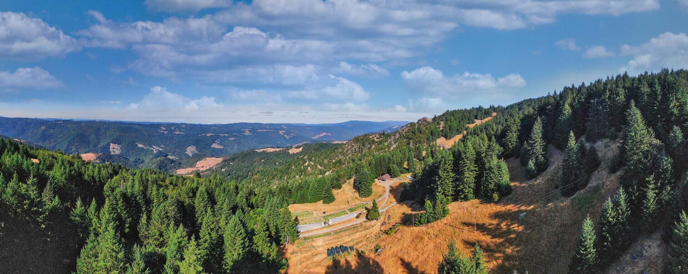 2469 Titlow Hill Road