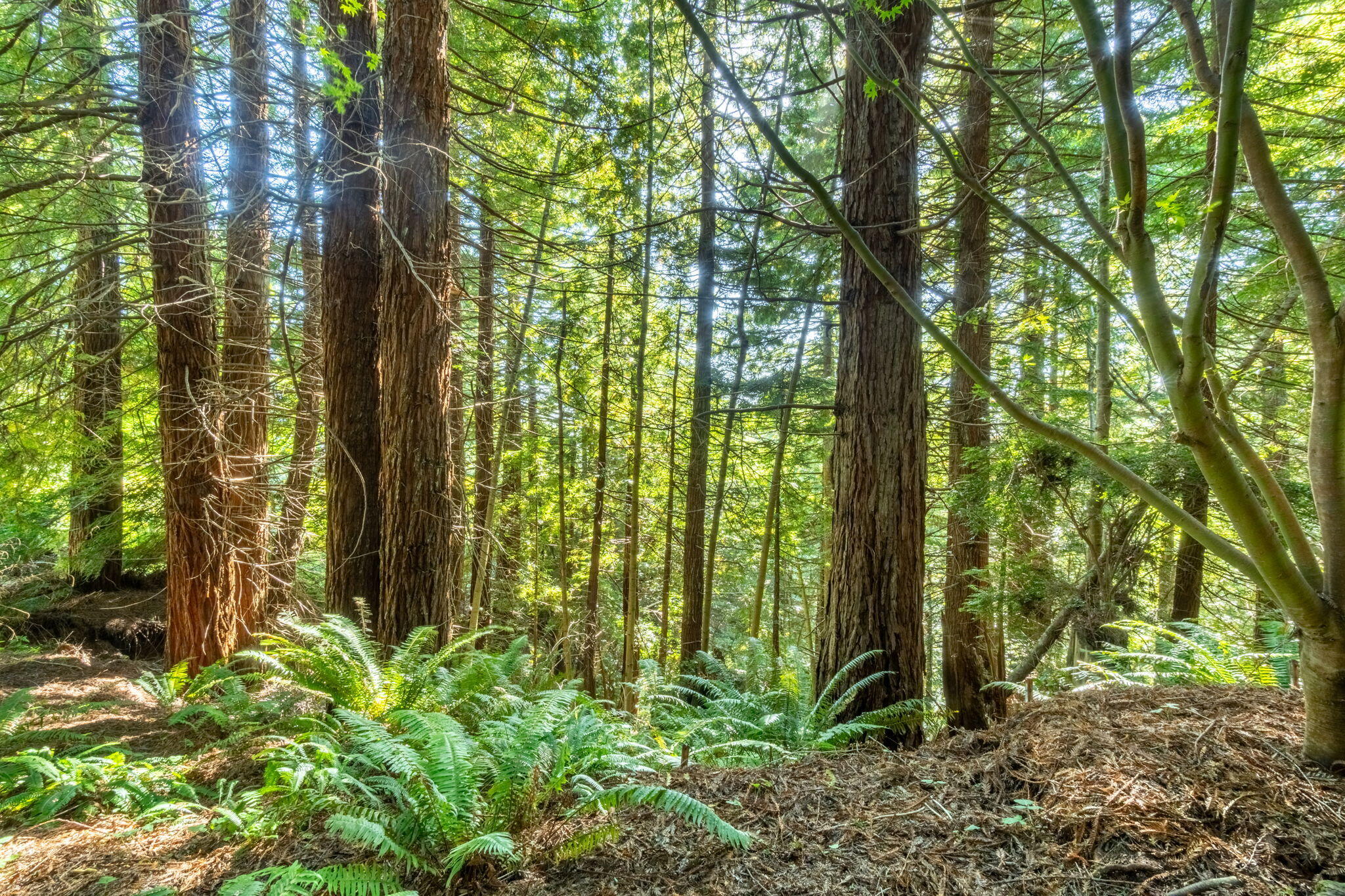 2340 Greenwood Heights Drive