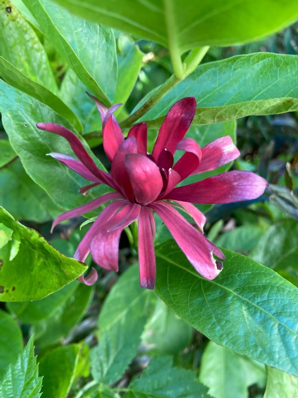 2340 Greenwood Heights Drive