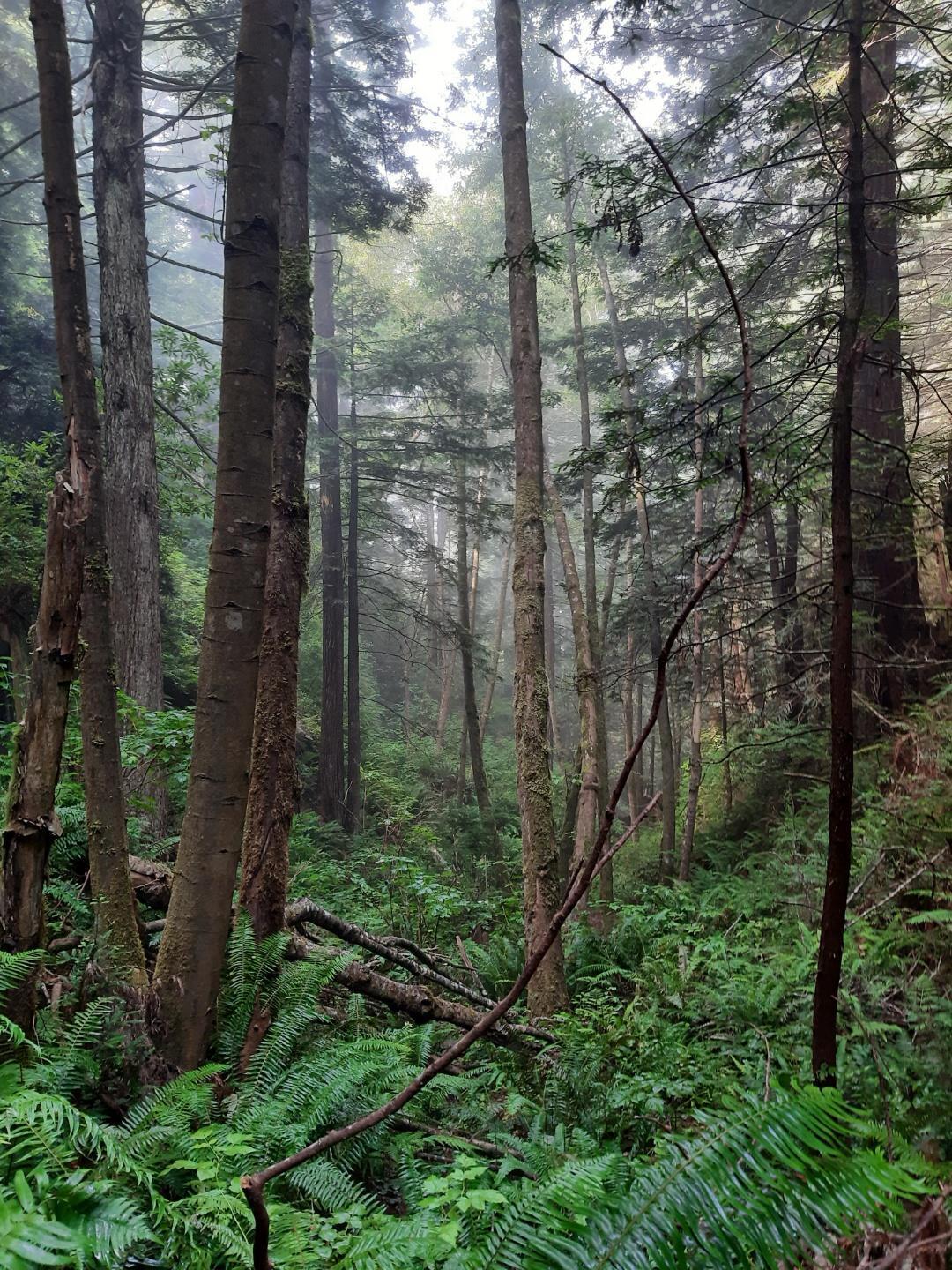 2340 Greenwood Heights Drive