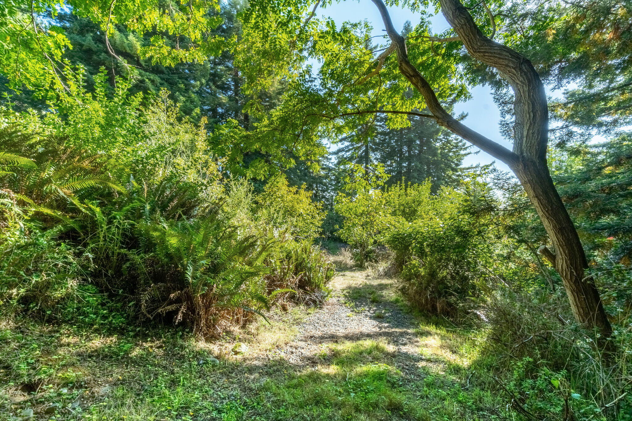 2340 Greenwood Heights Drive