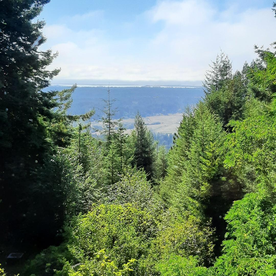 2340 Greenwood Heights Drive