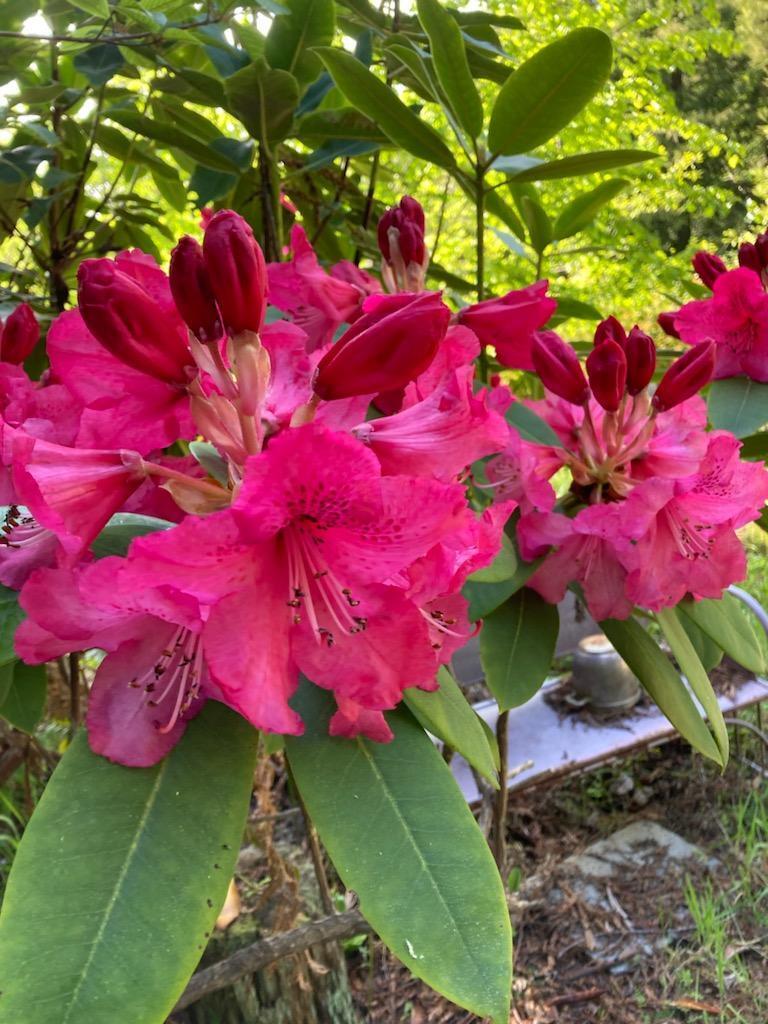 2340 Greenwood Heights Drive