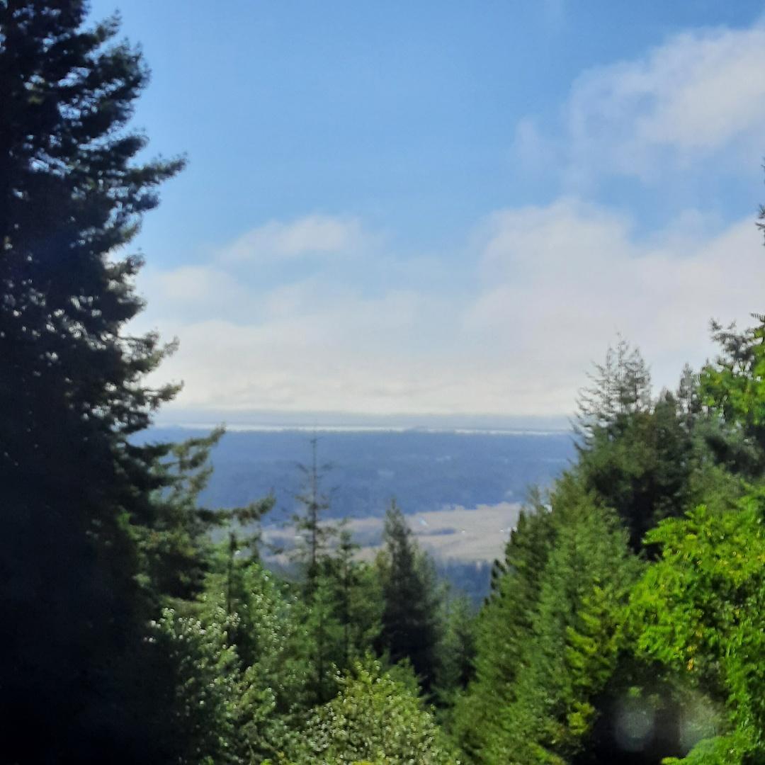 2340 Greenwood Heights Drive