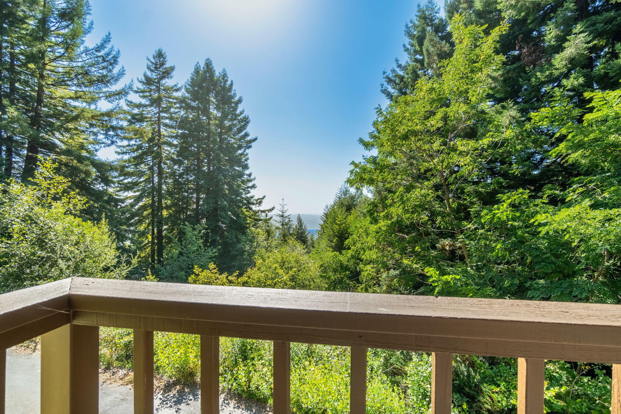 2340 Greenwood Heights Drive