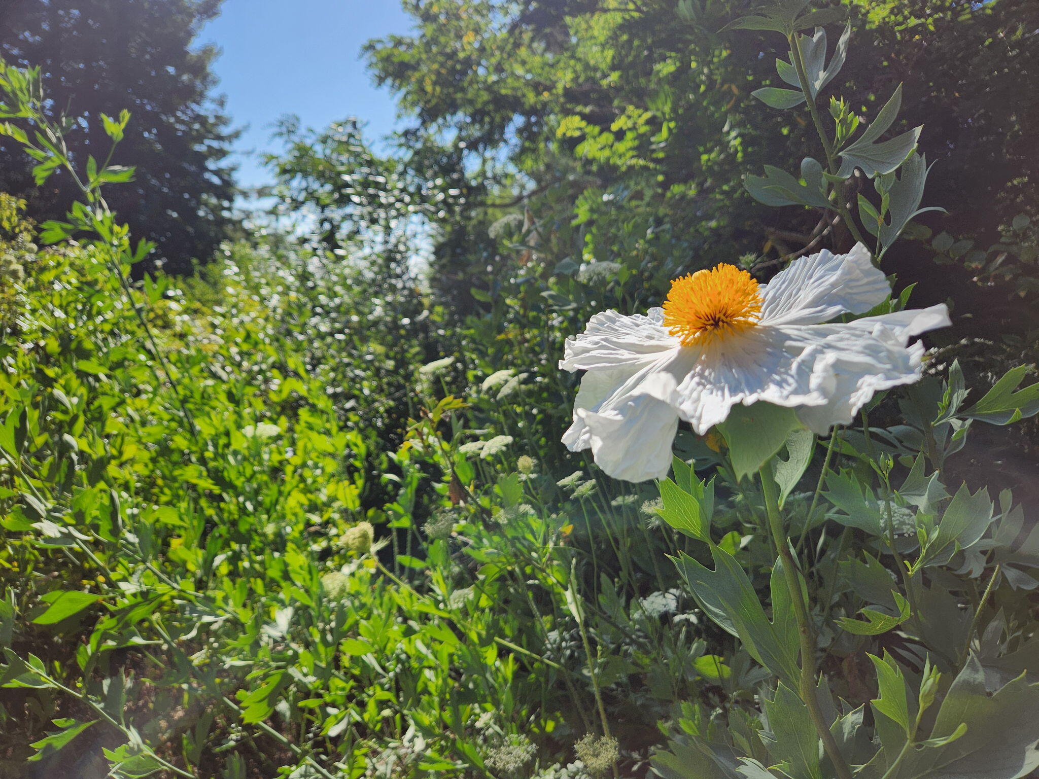 2340 Greenwood Heights Drive