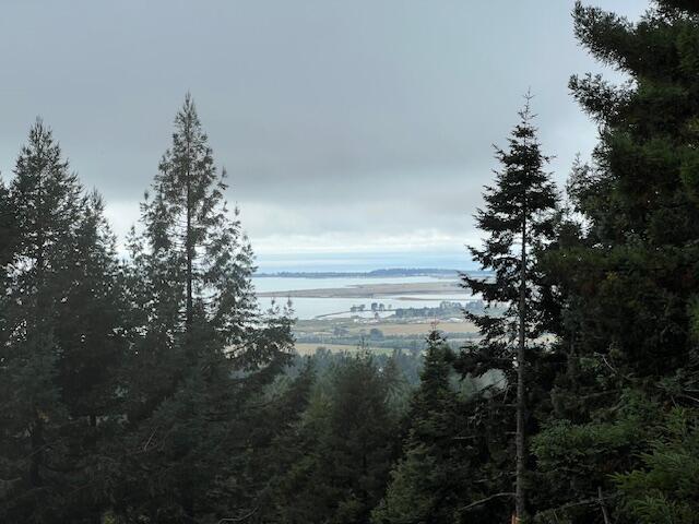 11.8 Acres Idylbear Lane