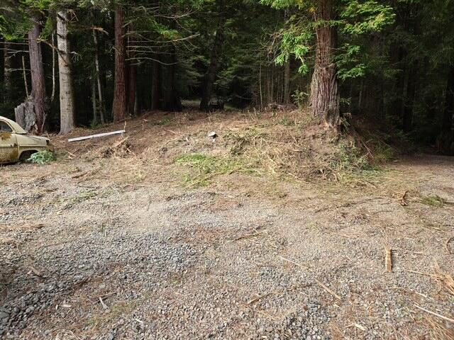 11.8 Acres Idylbear Lane