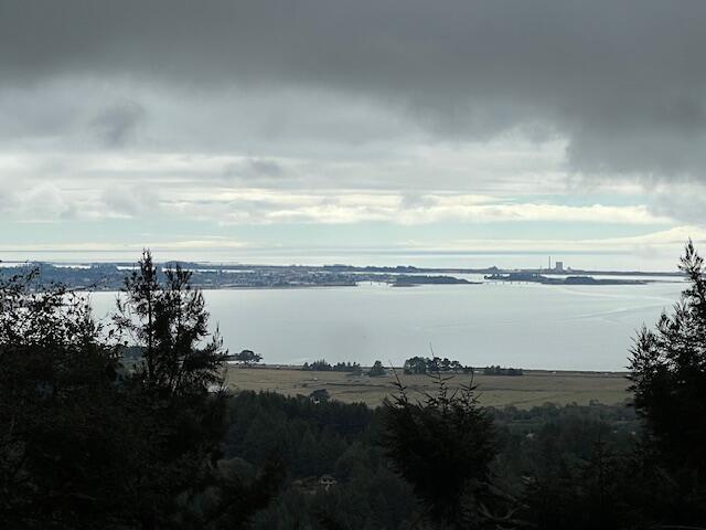 11.8 Acres Idylbear Lane