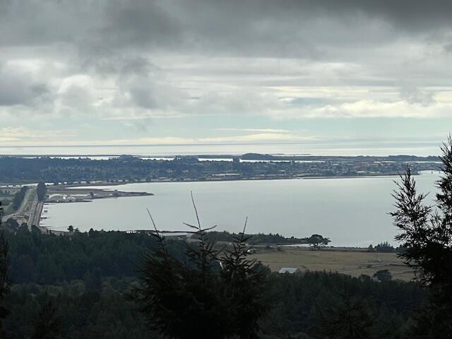 11.8 Acres Idylbear Lane