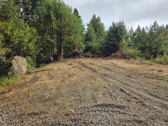 11.8 Acres Idylbear Lane