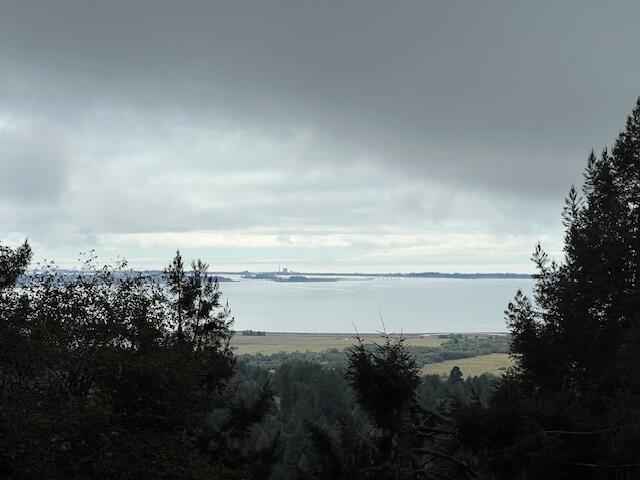 11.8 Acres Idylbear Lane