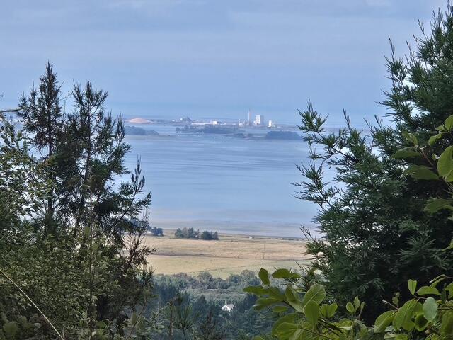 11.8 Acres Idylbear Lane