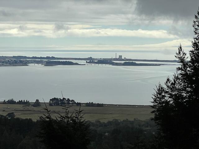 11.8 Acres Idylbear Lane