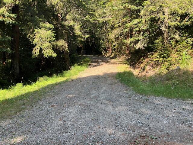 11.8 Acres Idylbear Lane