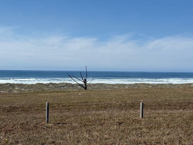 Pacific Ocean surf beyond a grassy coastal field, with driftwood and fence posts in the foreground.