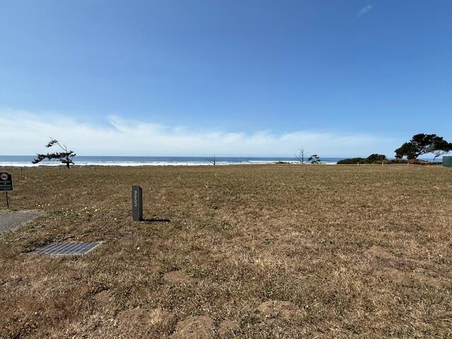 Vacant coastal lot with ocean views, utility markers, and windswept trees along the shoreline.