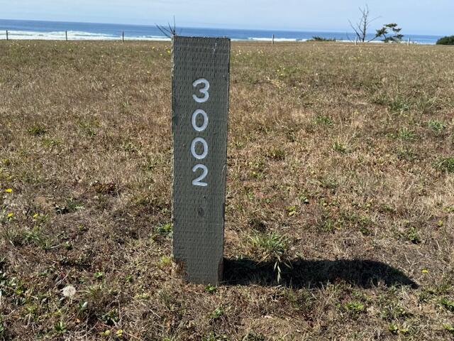 Coastal lot marked 3002, with dry grass and ocean visible beyond.